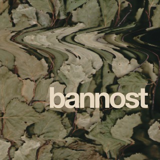 BANNOST’ | БАННЫЕ ВЫЕЗДЫ В ПЕТЕРБУРГЕ