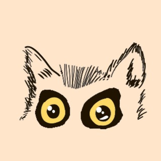 LEMOOR CLOOB ИНФО