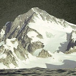 МЕЖДУ ПРИГОВЫМ И КУРЕХИНЫМ