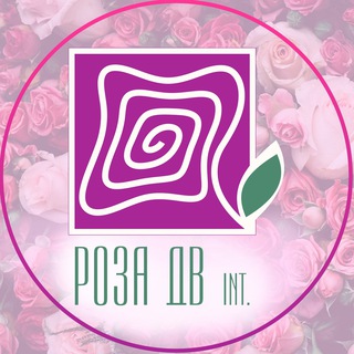 ROZA DV INT РОЗА ДВ ИНТ
