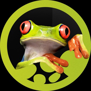 PANTERIC  ЭКЗОТИЧЕСКИЕ ЖИВОТНЫЕ