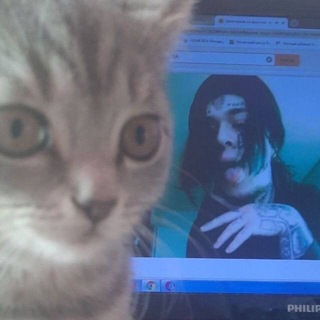 ПЕСНИ С ТТ| МУЗЫКА