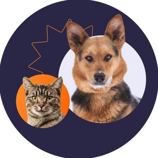 ПРИЮТ В ПЕЧАТНИКАХ | МОСКВА