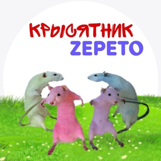 КРЫСЯТНИК ZEPETO