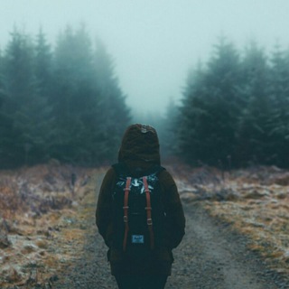 ПРОШАРЕННЫЙ ПУТЕШЕСТВЕННИК