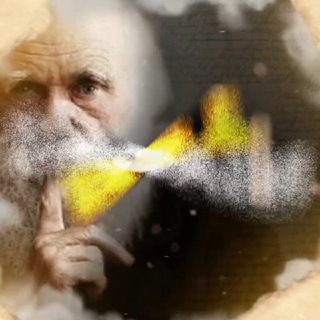 DARVIN_BET | СТАВКИ НА СПОРТ