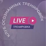 LIVE ТРЕНИРОВКИ