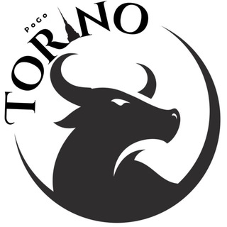 POKEMON GO TORINO