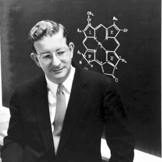 ХЛОРОФИЛЛЫ ВУДВОРДА