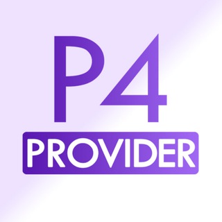 P4 PROVIDER