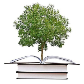 ИСЛАМСКИЕ ФИНАНСЫ +