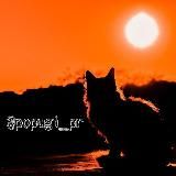 ЖИВОТНЫЕ | КОТЫ | СОБАКИ | КРАСИВЫЕ | СМЕШНЫЕ