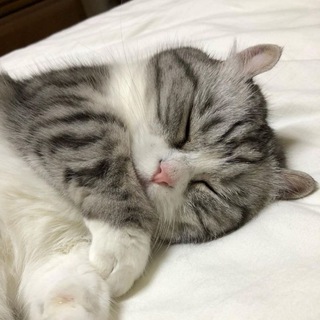 FREE KOMARU | ПРОМОКОДЫ