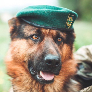 УКРАЇНА ПОНАД УСЕЧАТ!!!