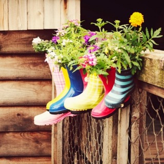 ДАЧНЫЕ СОВЕТЫ. САД И ОГОРОД