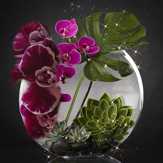 ORCHIDEI_EKB