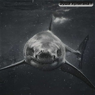 ДУША ХУЛИГАНА