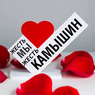 ЖЕСТЬ. КАМЫШИН