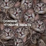 СОХРАНИ, ЧТОБЫ НЕ ЗАБЫТЬ