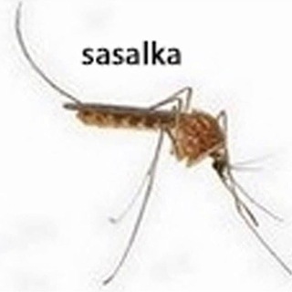 ПЕСНИ ПОЛМАТЕРИ ИННОПОЛИС ЛАЗАРУС СССРРРАААНННЬЬЬ YASHKOFF МАРГОЛДИНА АБДРАШИТОВА LUCASINIO