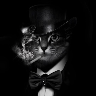 СЕКСФИНАНСЫРОК-Н-РОЛЛ