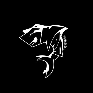 ДНЕВНИКИ РАЗРАБОТЧИКА