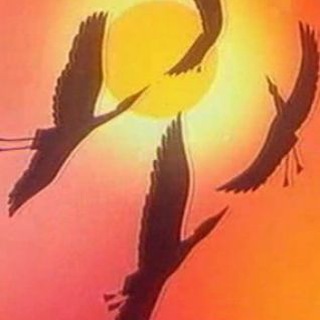 В МИРЕ ЖИВОТНЫХ