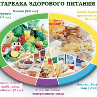 ПП ПИТАНИЕ/ЗДОРОВОЕ ПИТАНИЕ