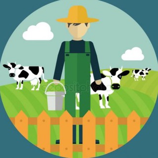 ФЕРМА: MINING С 0 ДО ТОПА