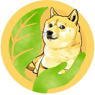 SAFE DOGE COIN | SDC