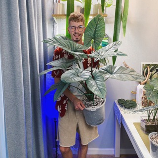 АЛЕКСЕЙ И ЕГО РАСТЕНИЯ