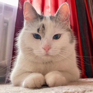 А НУ-КА ДАВАЙ-КА