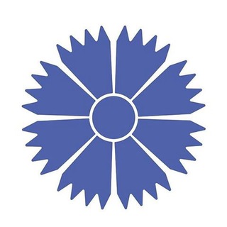 BELAVIANEWS