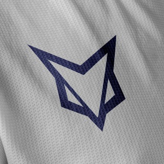 ARCFOX #BORNFREE
