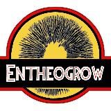 ENTHEOGROW2