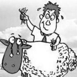 羊毛党--TG支部 (薅死羊不偿命系列)