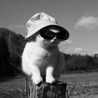 СЕРДЦЕ КЛОУНА