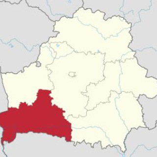 ПРОБКИ БРЕСТ