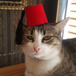 ПОЕХАЛИ В СТАМБУЛ | РЕЛОКАЦИЯ | ПЕРЕЕЗД