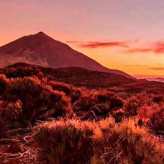 ЖИЗНЬ НА КАНАРАХ  ТЕНЕРИФЕ …