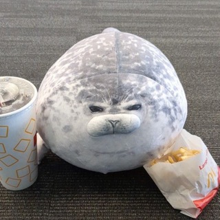 ୧Ɪᴛᴢ.SʜᴏᴡꞮɴɢ