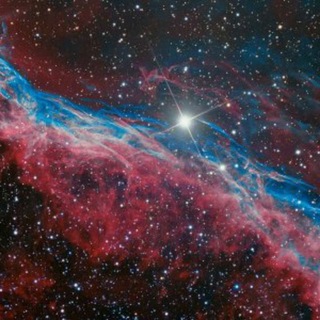 ИЛОН МАСК | ФИЗИКА | АСТРОНОМИЯ