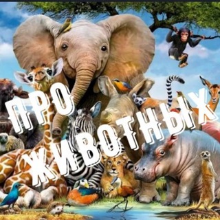 ПРО ЖИВОТНЫХ