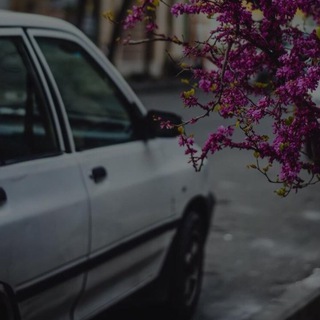 ᴍᴜᴠᴀʜʜꞮᴅ ོ