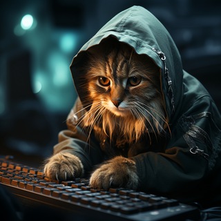 ВЕЧЕРНЯЯ КОТОТЕКА