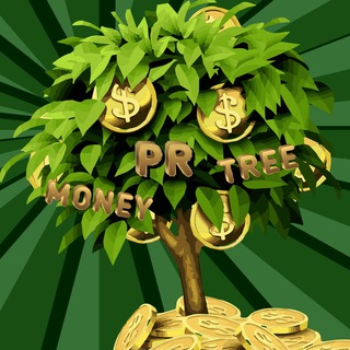MONEYTREE_INFO