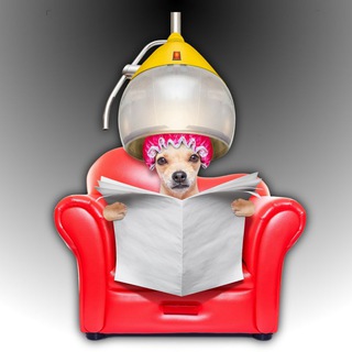 МИР ТВОЕЙ КРАСОТЫ