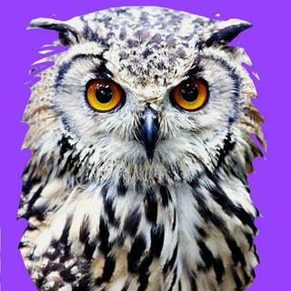  МУДРЫЕ МЫСЛИ / МОТИВИРУЮЩИЕ ФРАЗЫ - ИЗБРАННОЕ