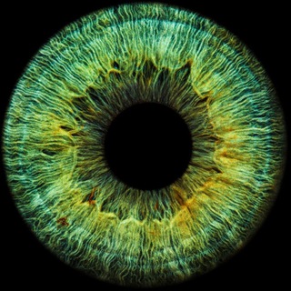 ОФТАЛЬМОЛОГ В КАРМАНЕ