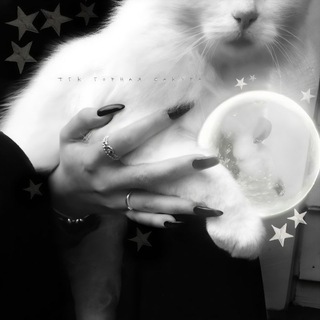 ˗ˏˋ ᴦᴏᴩНᴀЯ ᴄᴀᴋУᴩᴀ ´ˎ˗